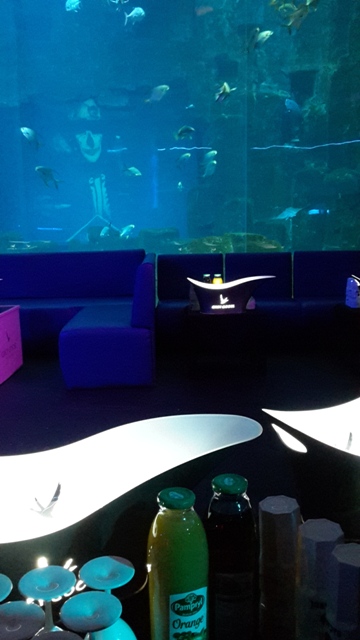 L’aquarium de Paris by night  une expérience insolite