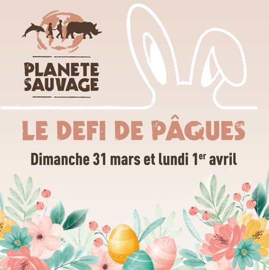 planetesauvagedefipaques