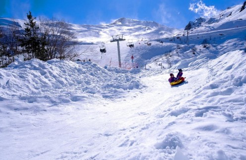 pyrenees