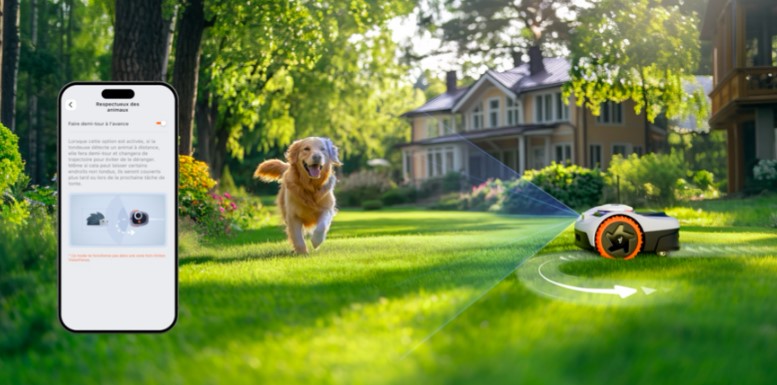 segwayanimaux