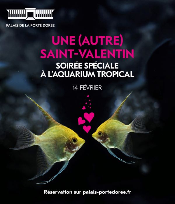 autresatvalaquarium