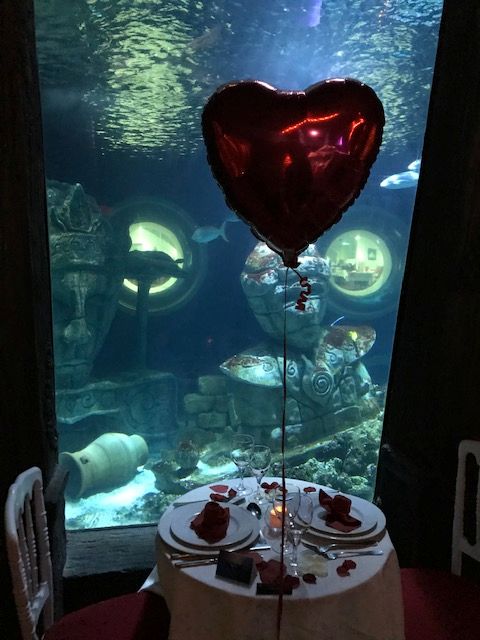 saintvalentinsealife