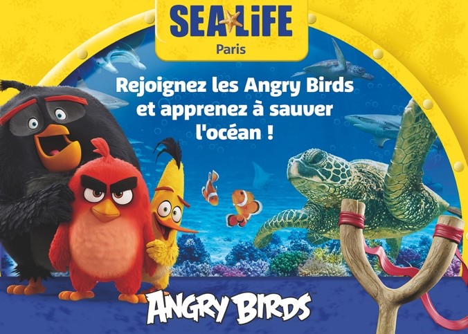 angrybirdssealife