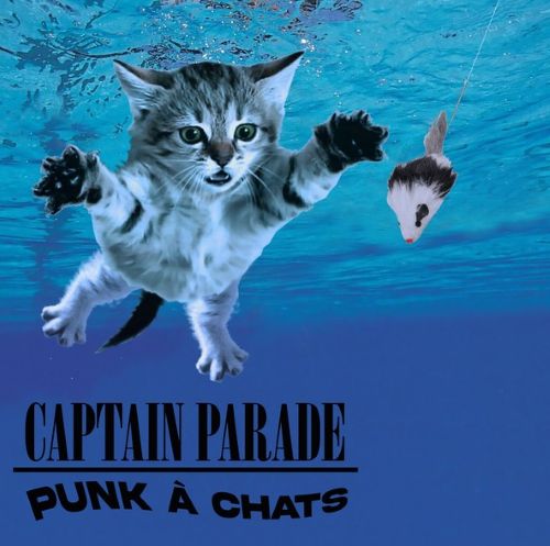 captainparadepunk captainparadepunk