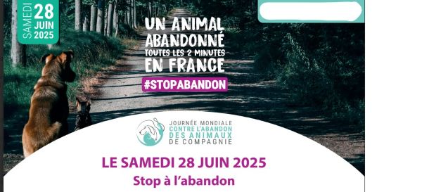 animalabandon animalabandon