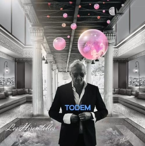 todem todem
