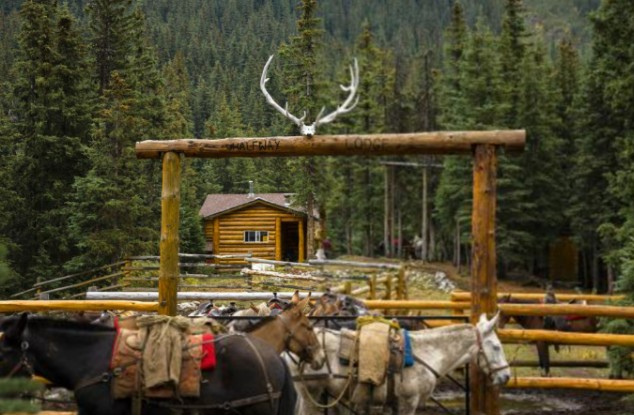 alberta alberta
