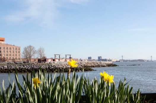 redhook redhook