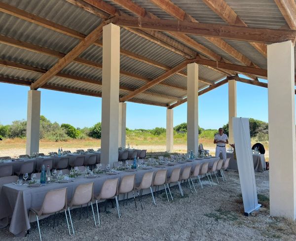 repascamargue01 repascamargue01