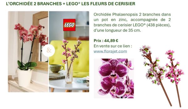 cerisier