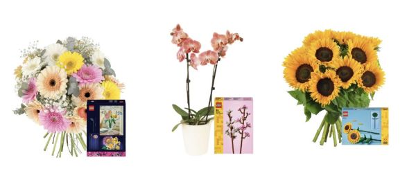 florajetlego