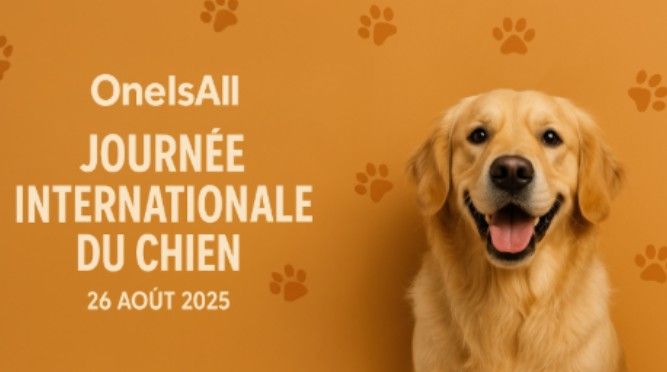 oneisalldog