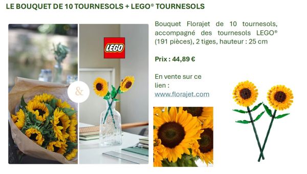 tournesols