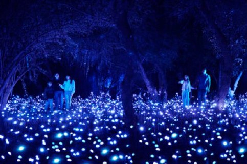 lightcycles