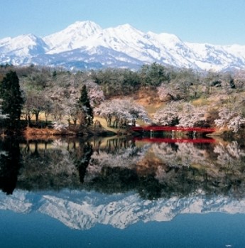 niigata niigata