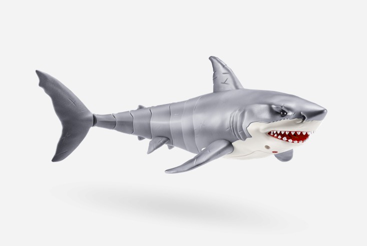 shark shark