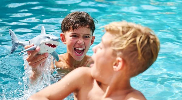 sharkspinmaster sharkspinmaster