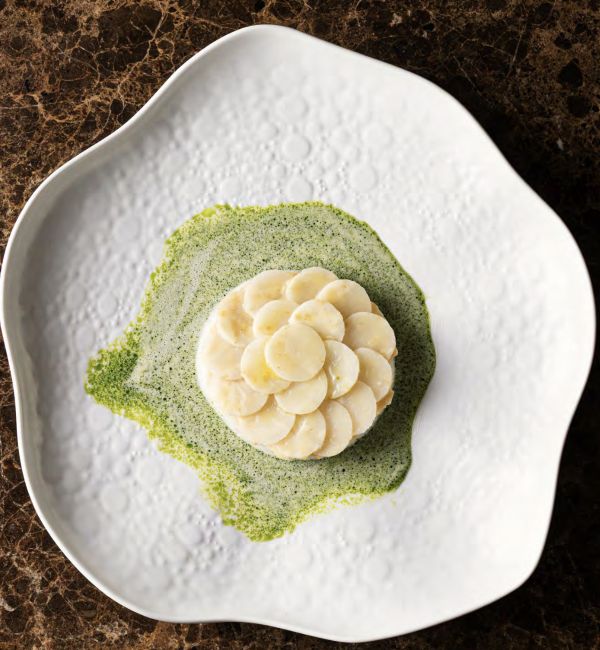 attiliohiver attiliohiver