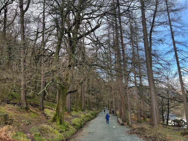 glendalough07 glendalough07