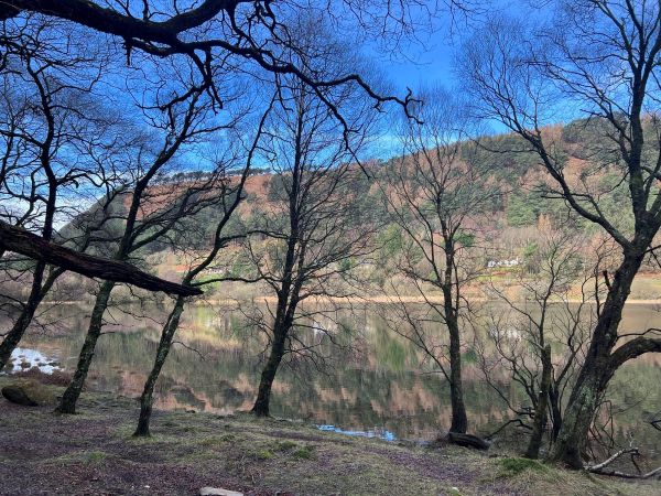glendalough08 glendalough08