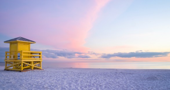 floridesieta floridesieta