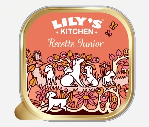 lilyskitchenjunior lilyskitchenjunior