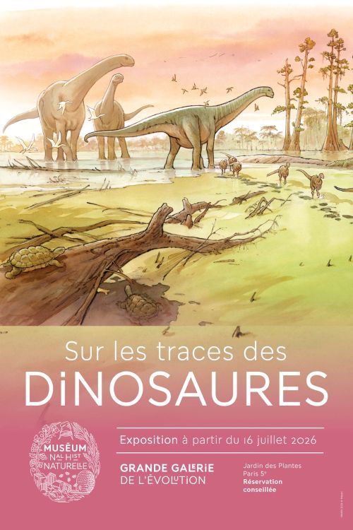 dinosexpo dinosexpo