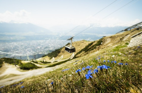 innsbruck