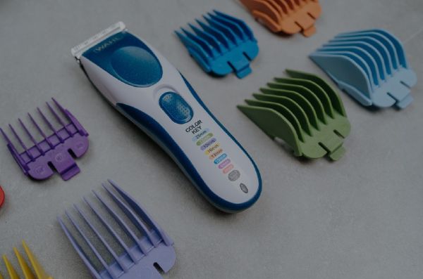 colorprocordless colorprocordless