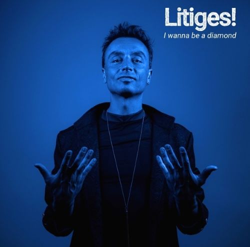 litiges litiges