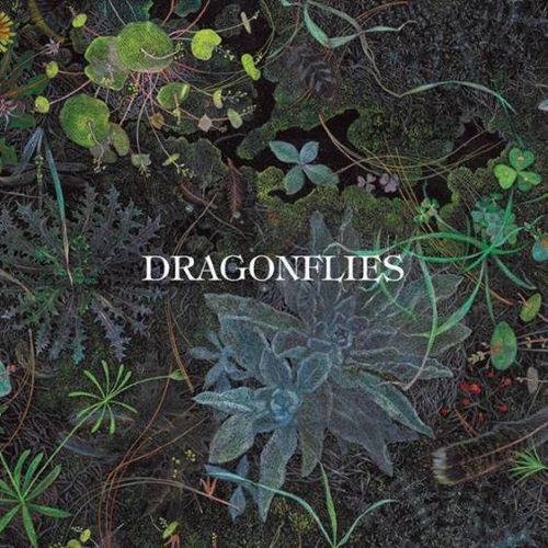 dragonflies