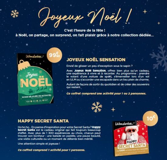 joyeuxnoelwonder1
