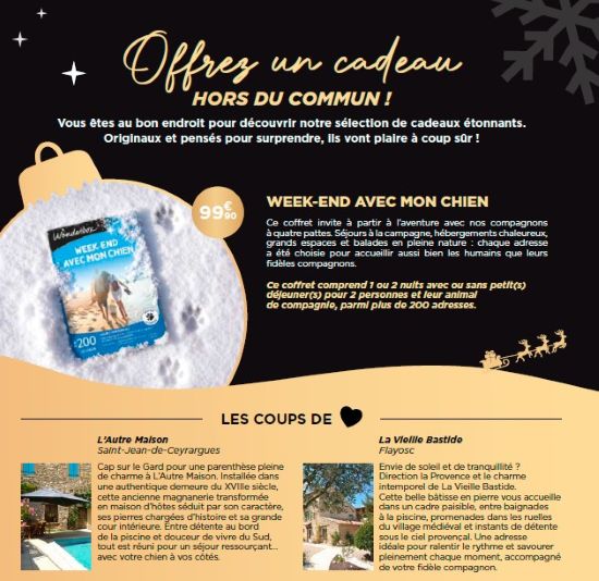 joyeuxnoelwonder3