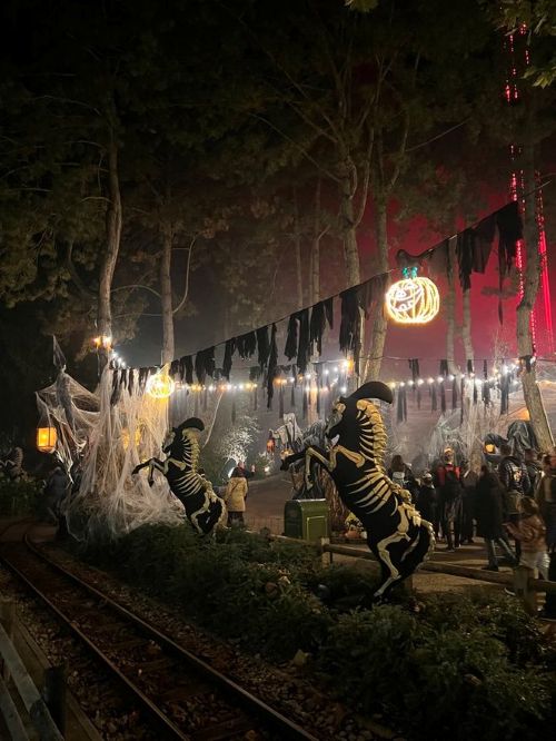 nigloween003